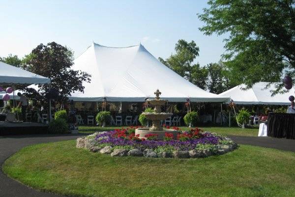 Sky Dancer, 20' - Party Safari Ohio - Cleveland Tent & Party Rental