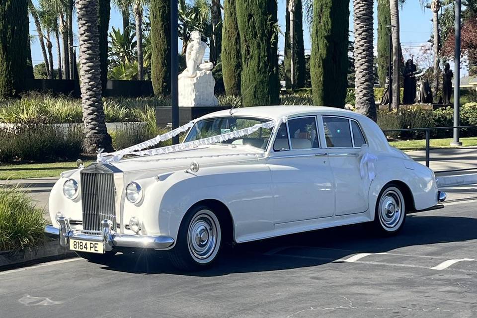 Rolls