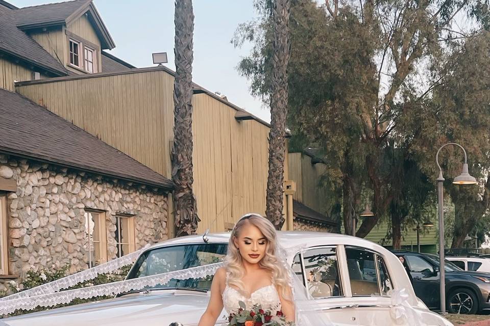 Rolls