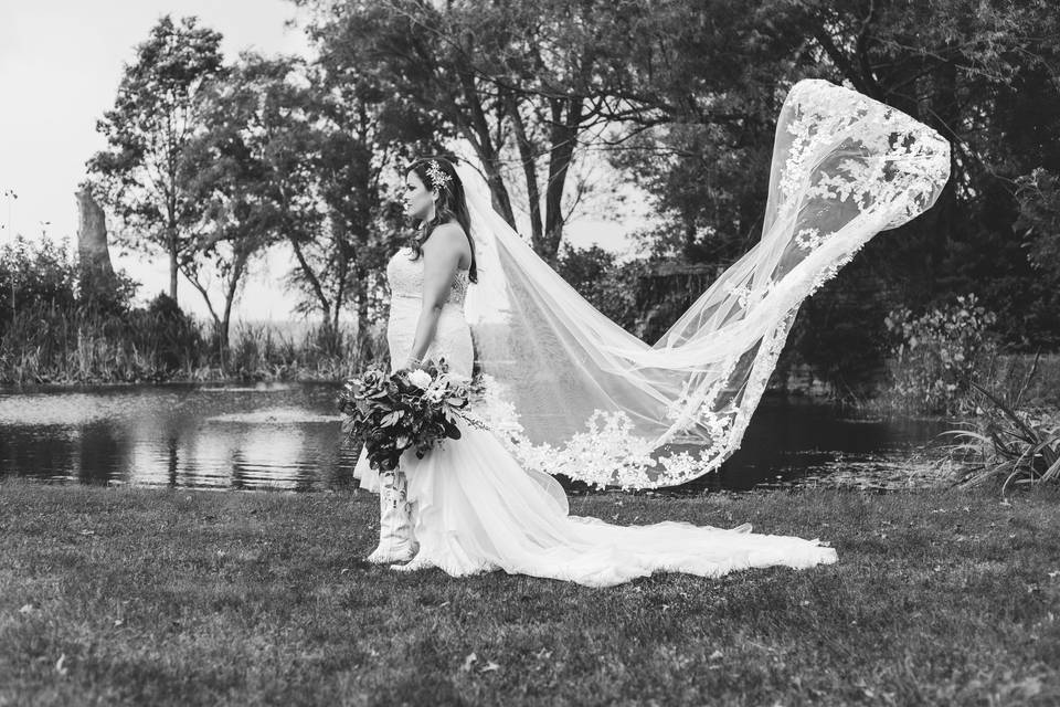 Beautiful Bride