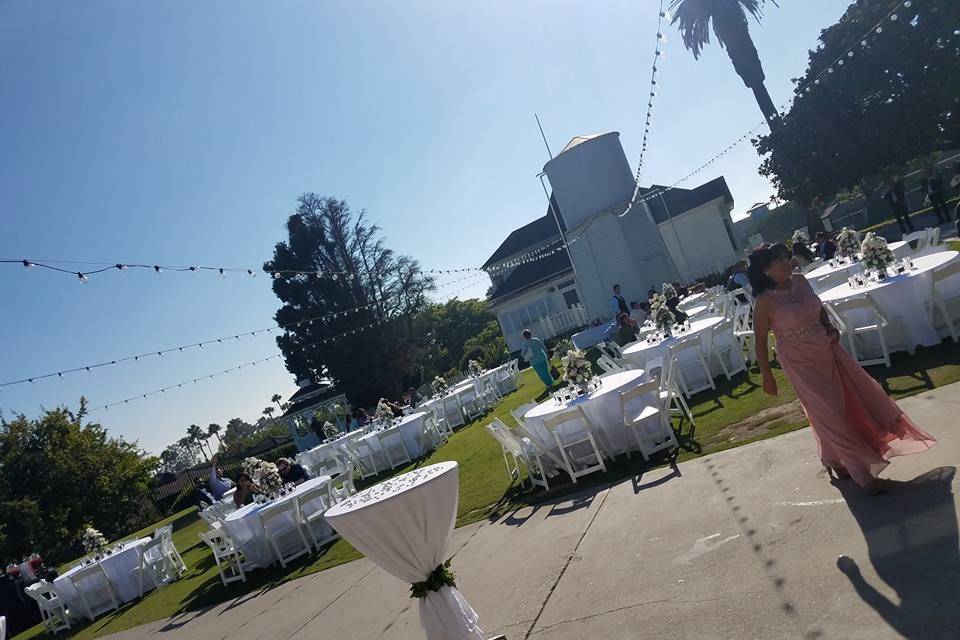 K. Miller Weddings & Events Coordinator