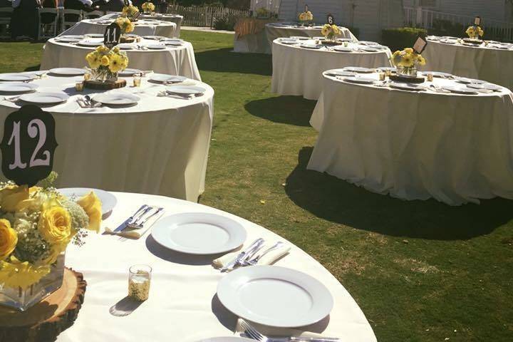 Table setting