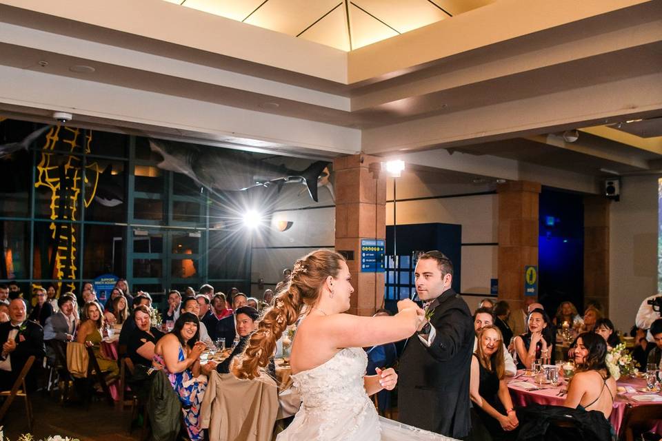 Paul Douda Photography