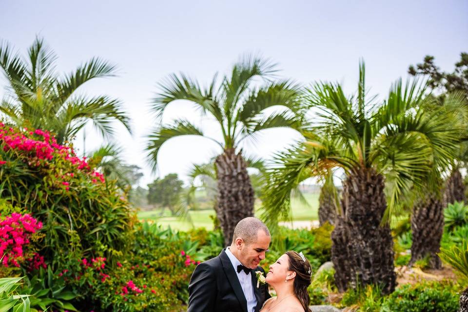 Paul Douda Photography