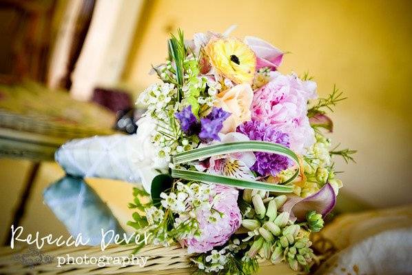 Rebecca Dever Photography