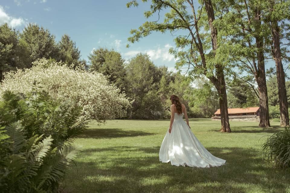 Beautiful Bride