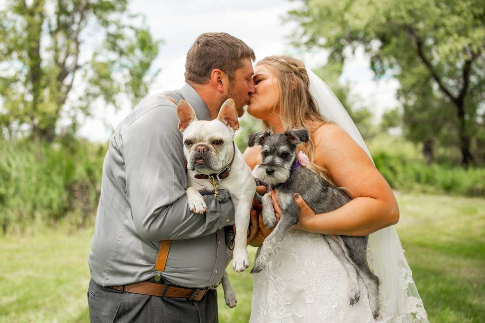 Fur Babies