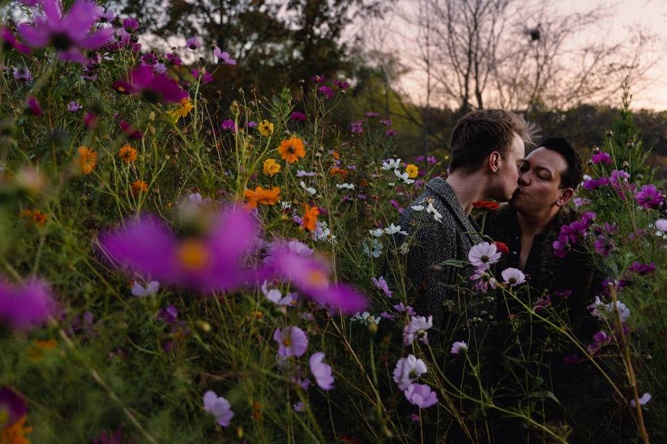 Flower field