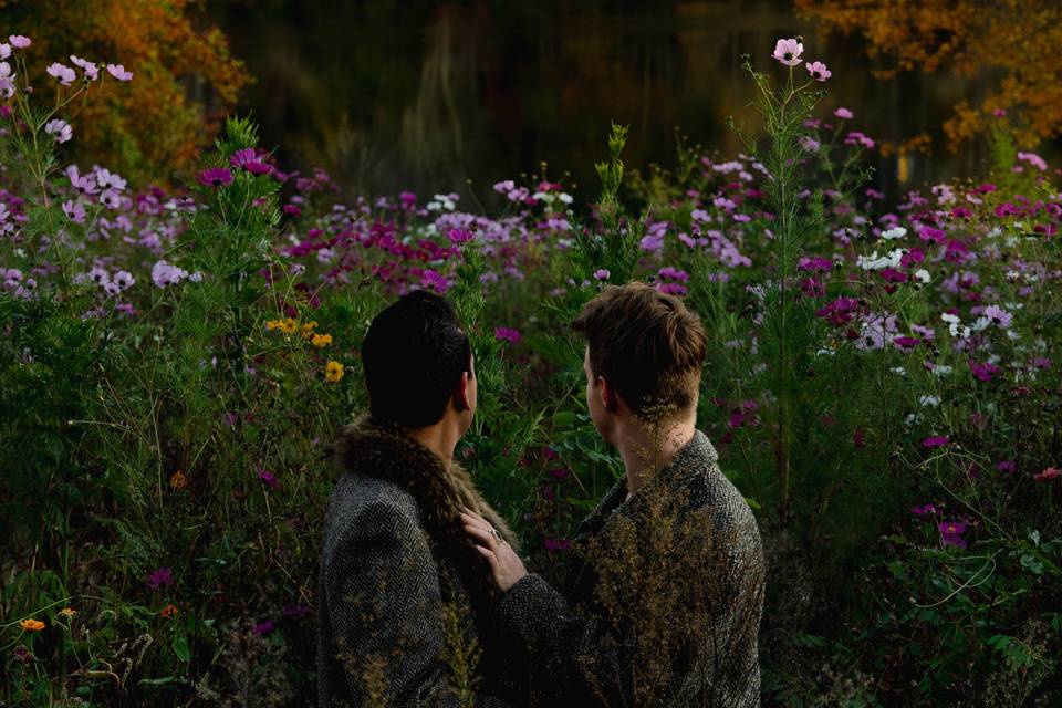 Flower field