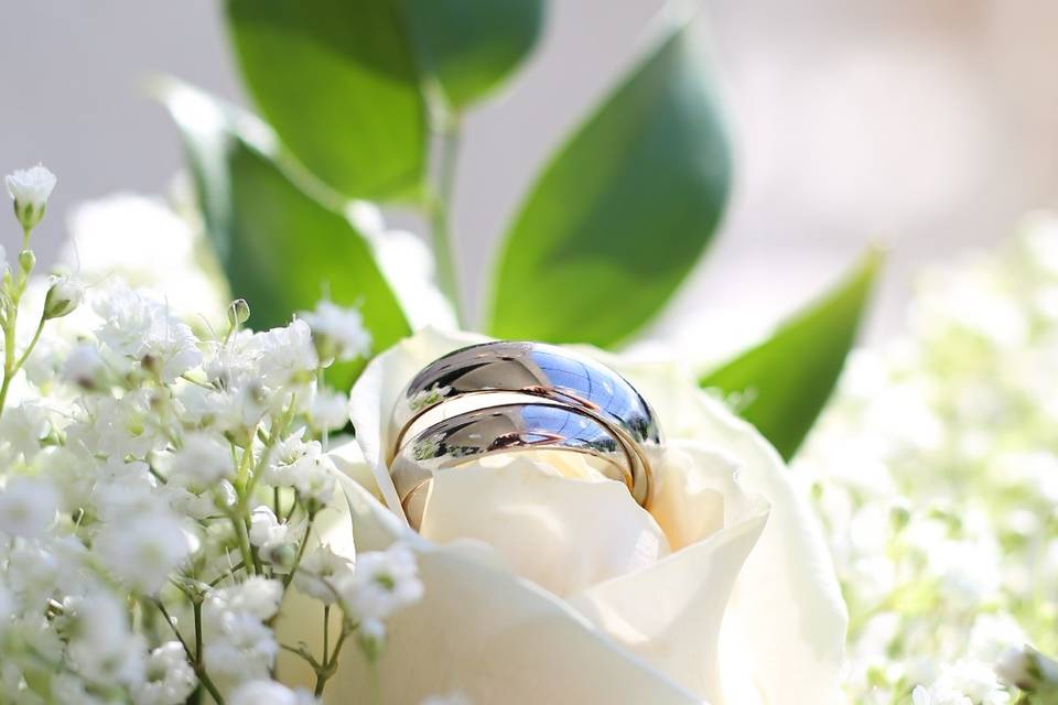 Newbell Photography
