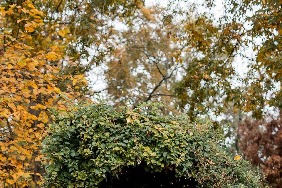 Fall Couple Portrait