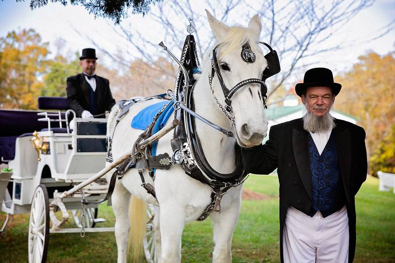 Couple carriage