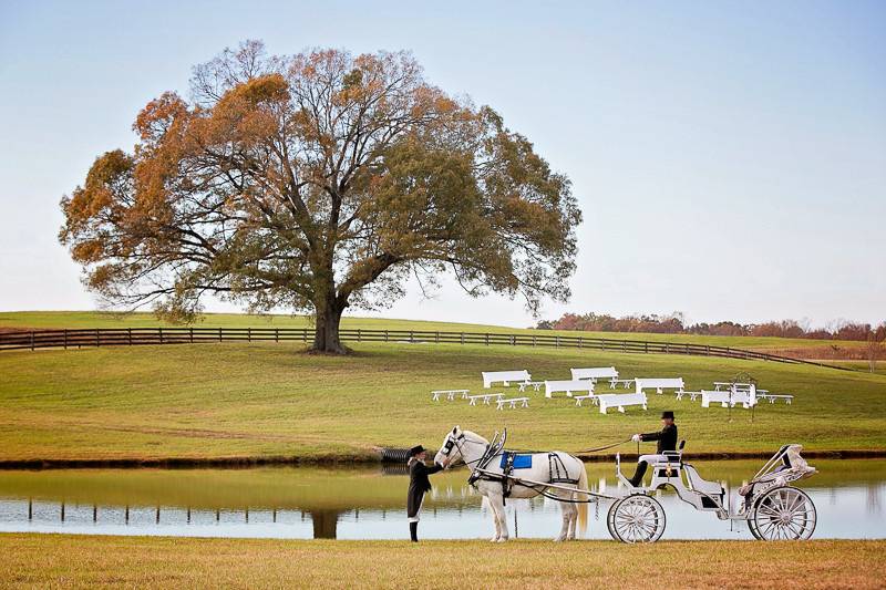 Mountain View Farm NC