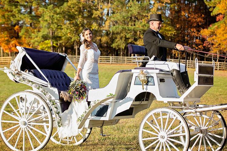 Mountain View Farm NC Wedding Venue