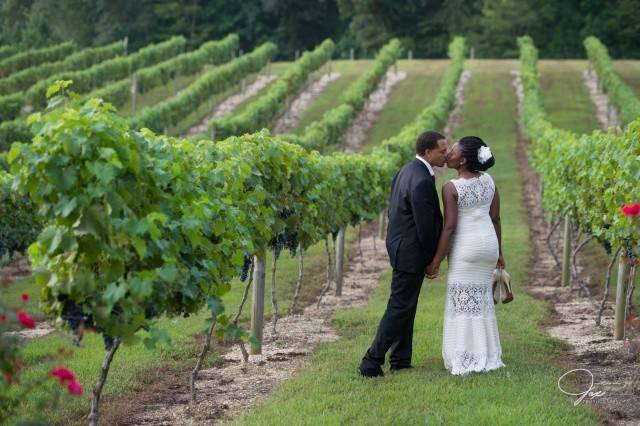 Running Hare Vineyard