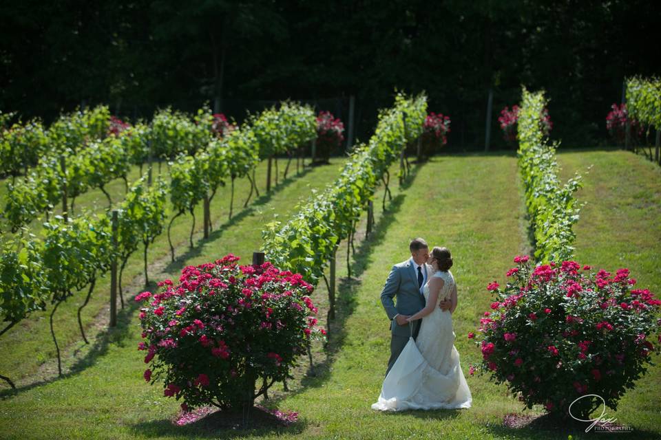 Kiss at the vineyard