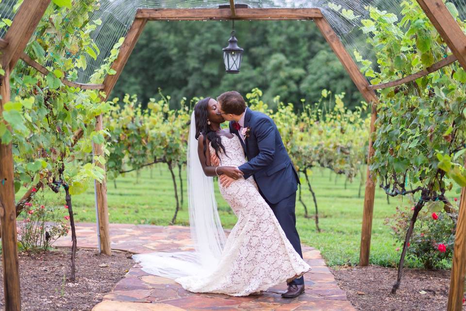 Groom kissing his bride in the vineyard