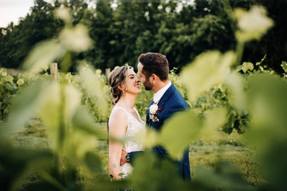 A June wedding at the Vineyard