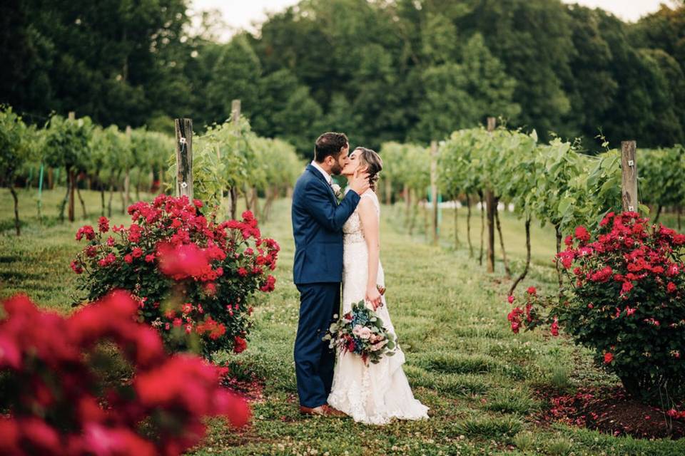 A June wedding at the Vineyard