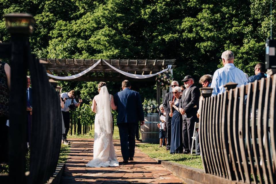 A June wedding at the Vineyard