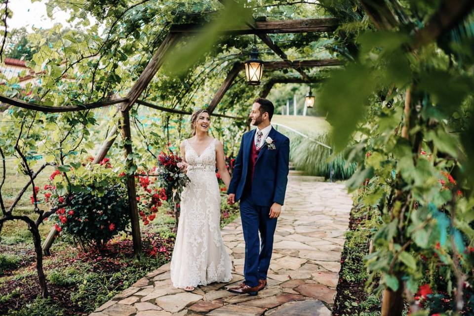 Newlyweds in the vines