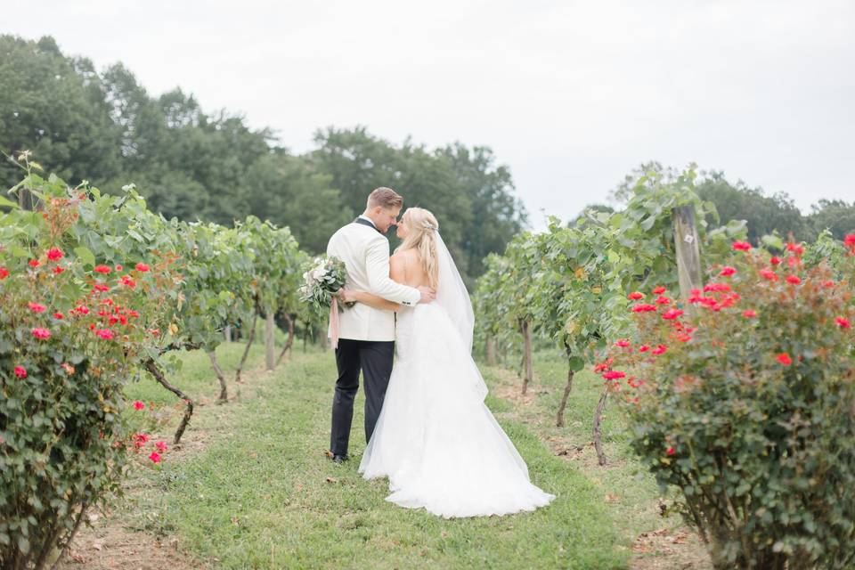 Newlyweds in the vines