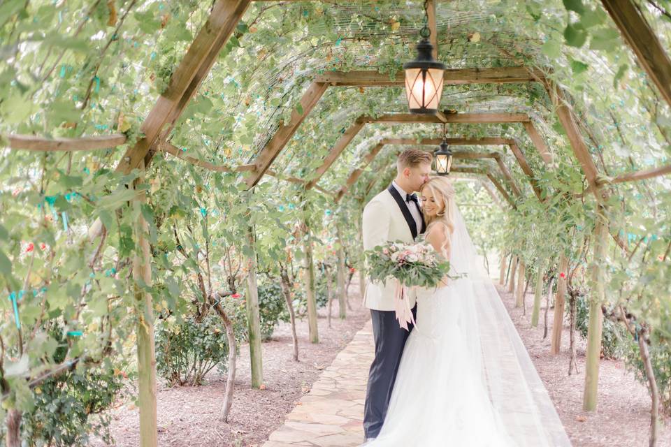 Newlyweds in the vine tunnel