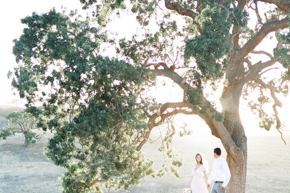 Santa Ynez