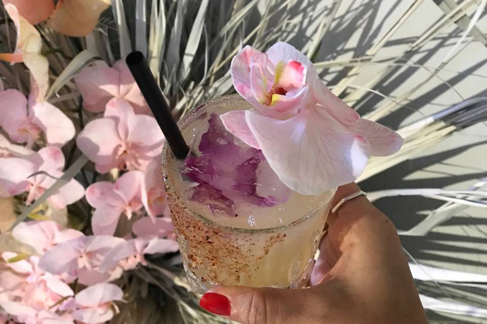 Themed cocktails