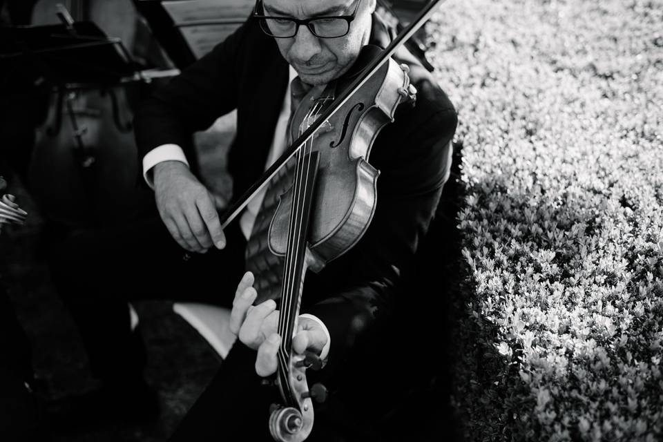 String quartet