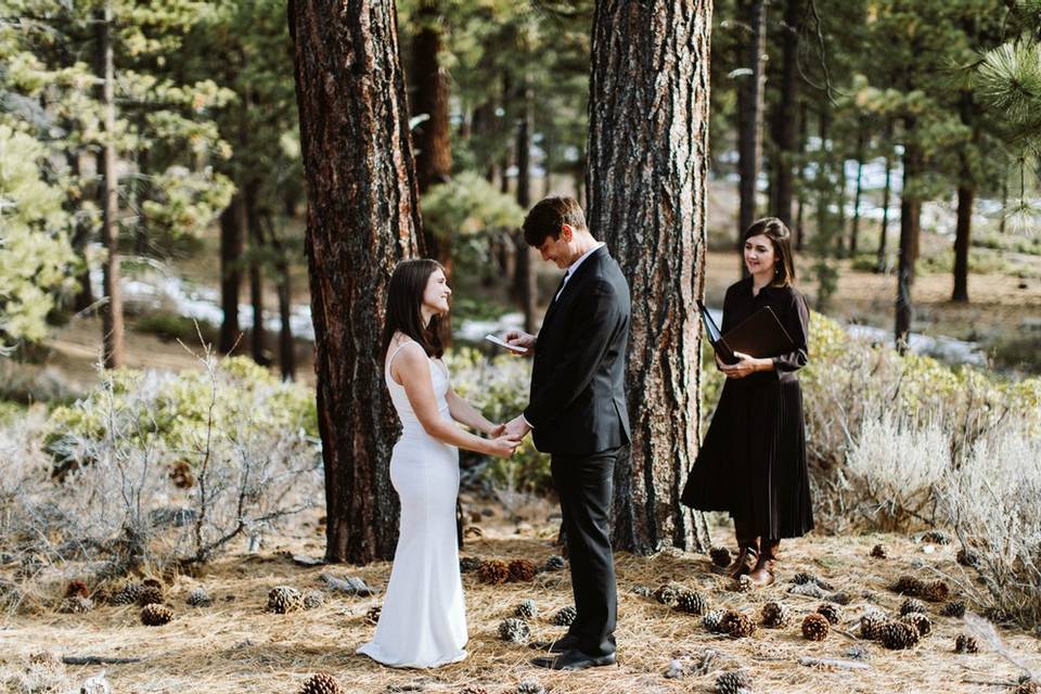 Exchanging Vows in the Forest