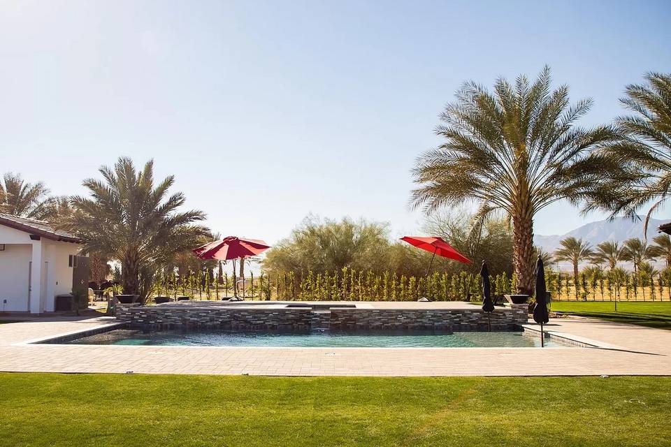 Palm tree lined pool setting