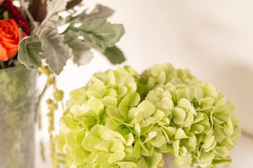 Hydrangeas in marble vase