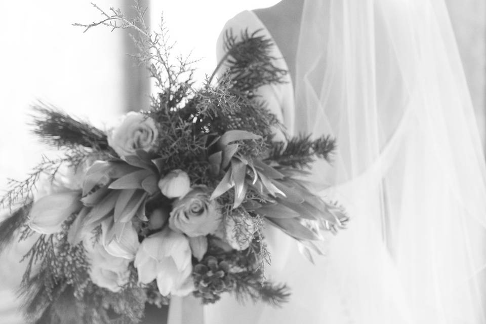 Utah Wedding Photographer