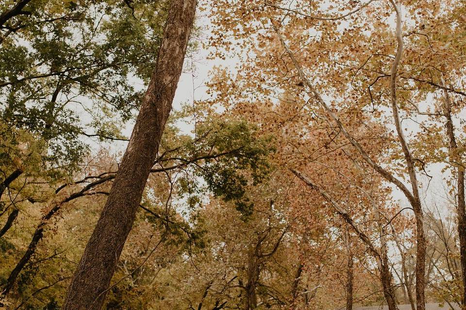 Autumn Bride at Spain Ranch - Peyton Rainey Photography