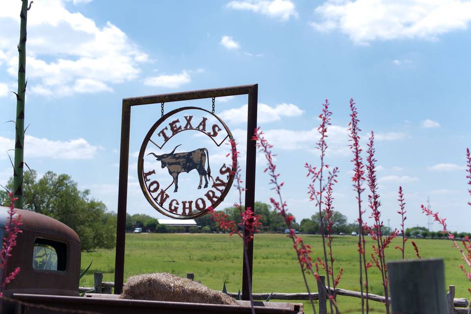 The Wild Onion Ranch