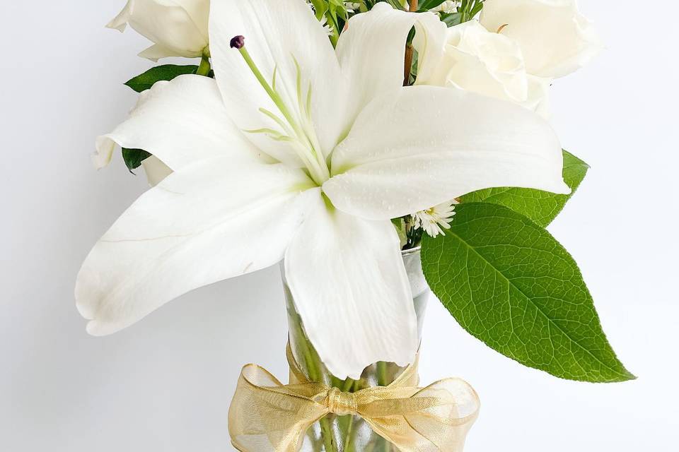 Elegant white blooms