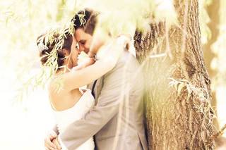Laurel Mountain Photography