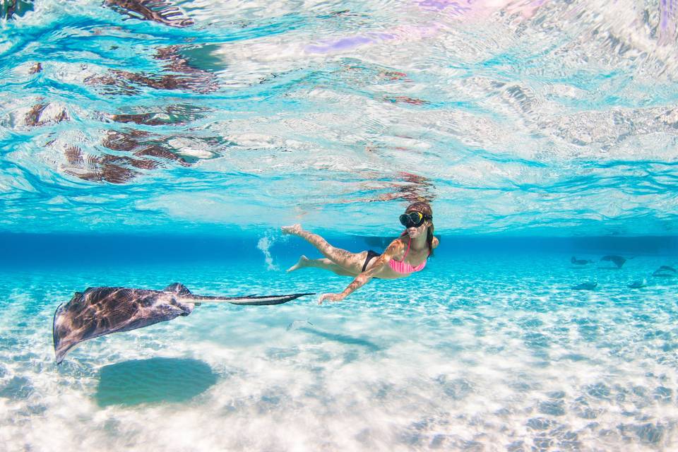 Gorgeous underwater portrait