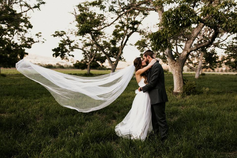 Windswept veil