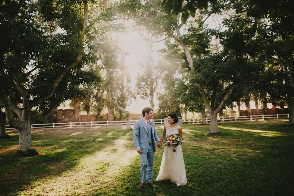 Walnut Grove At Tierra Rejada Farm