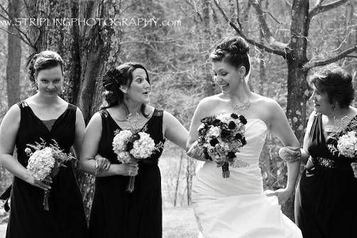 Stripling Photography
