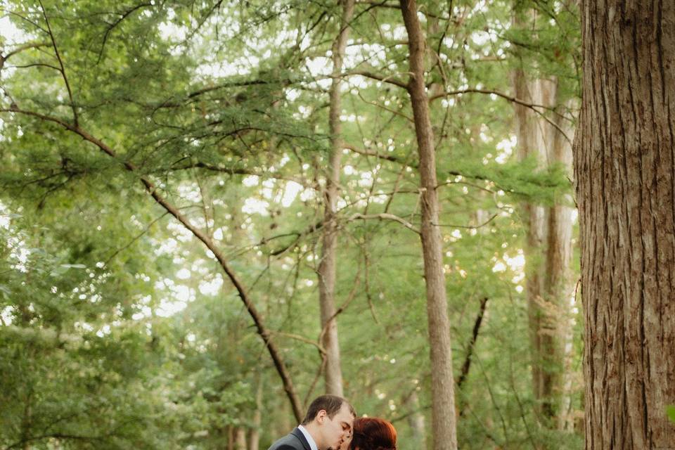 ELOPEMENT IN THE FOREST
