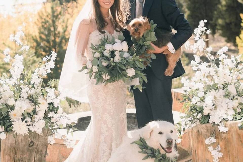 Family of 4, Twin Lakes, CO