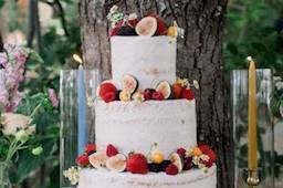 Naked cake with fruit