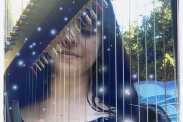 Electric harp