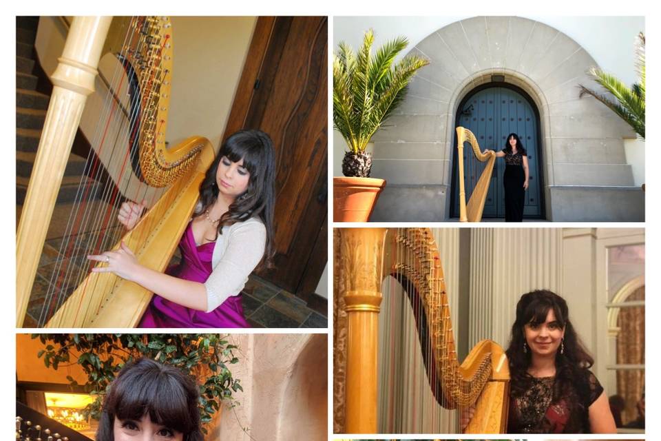 Angelic Harp - Ceremony Music - Saratoga, CA - WeddingWire