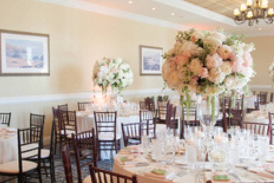 Los Gatos Wedding