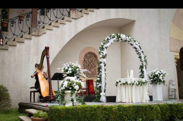 Emily John, harpist