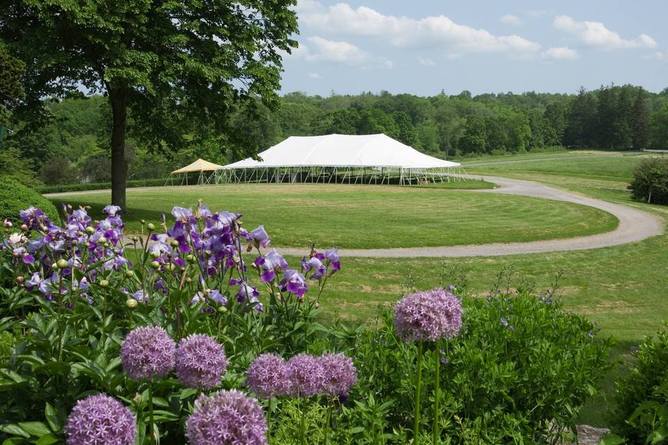 Auction and farmers market tent